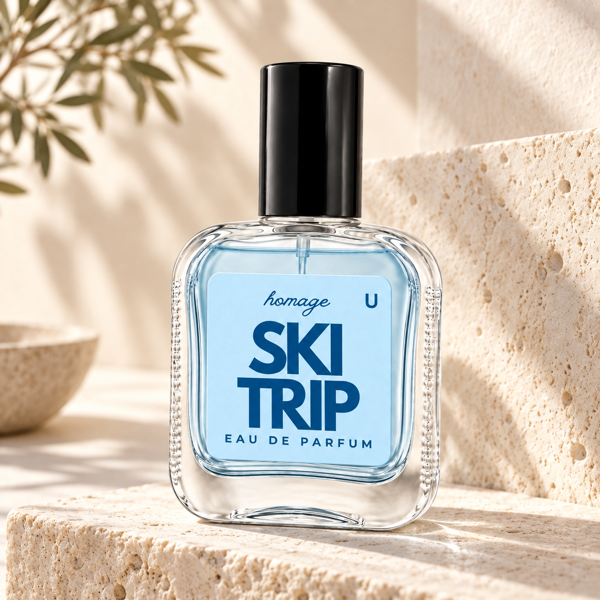 Ski Trip